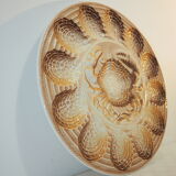 Dish for oysters