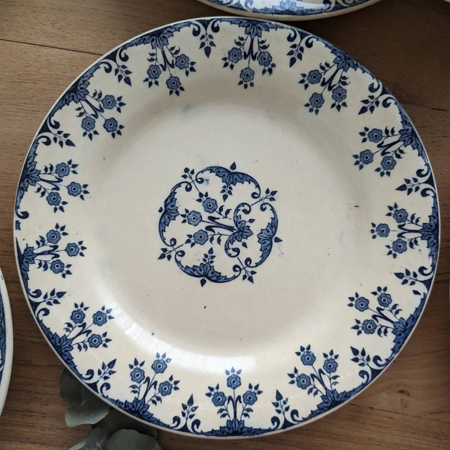 Set of 6 plates of Gien iron earth