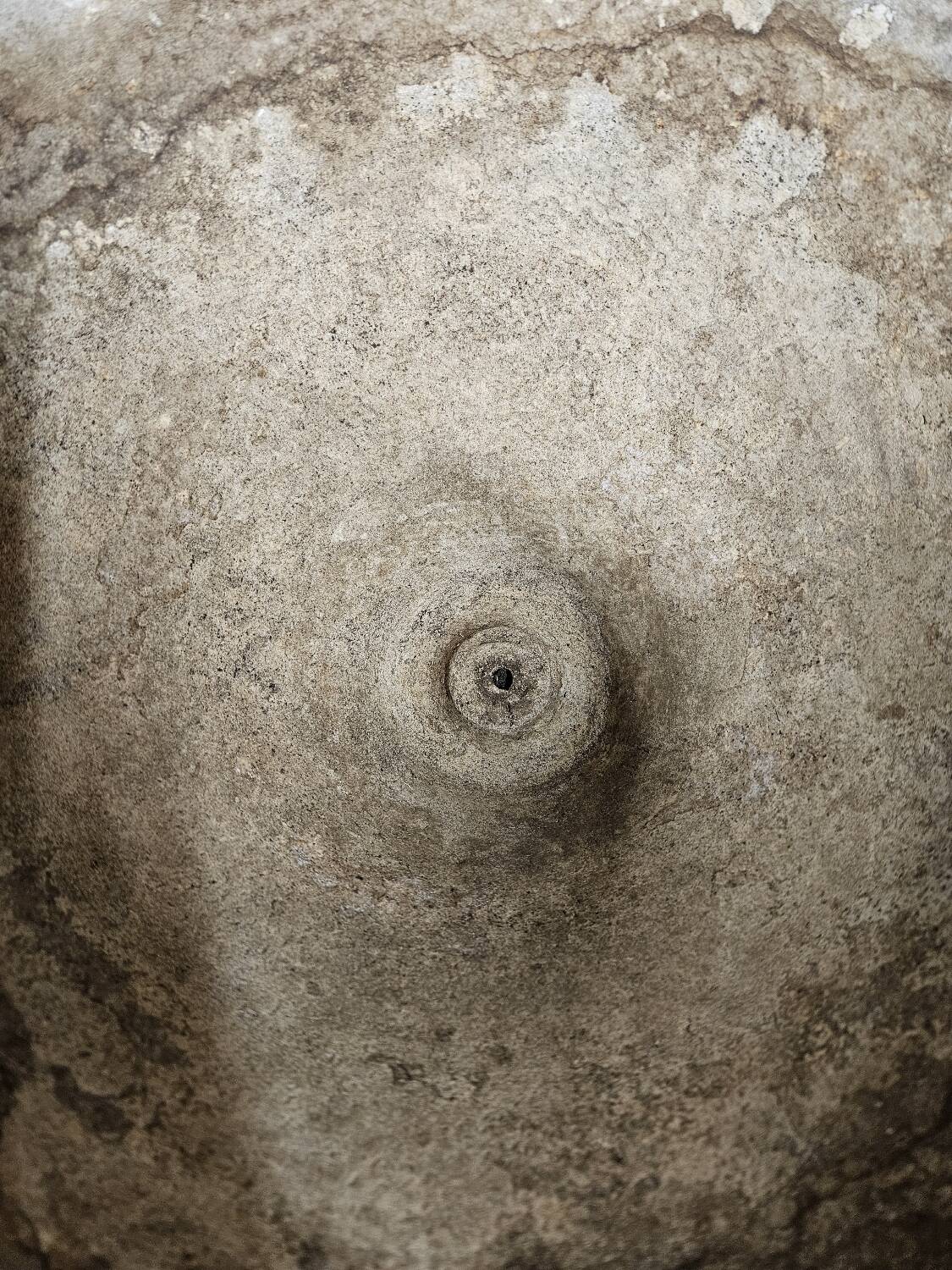 Diabolo planter by Anton Bee for Eternit