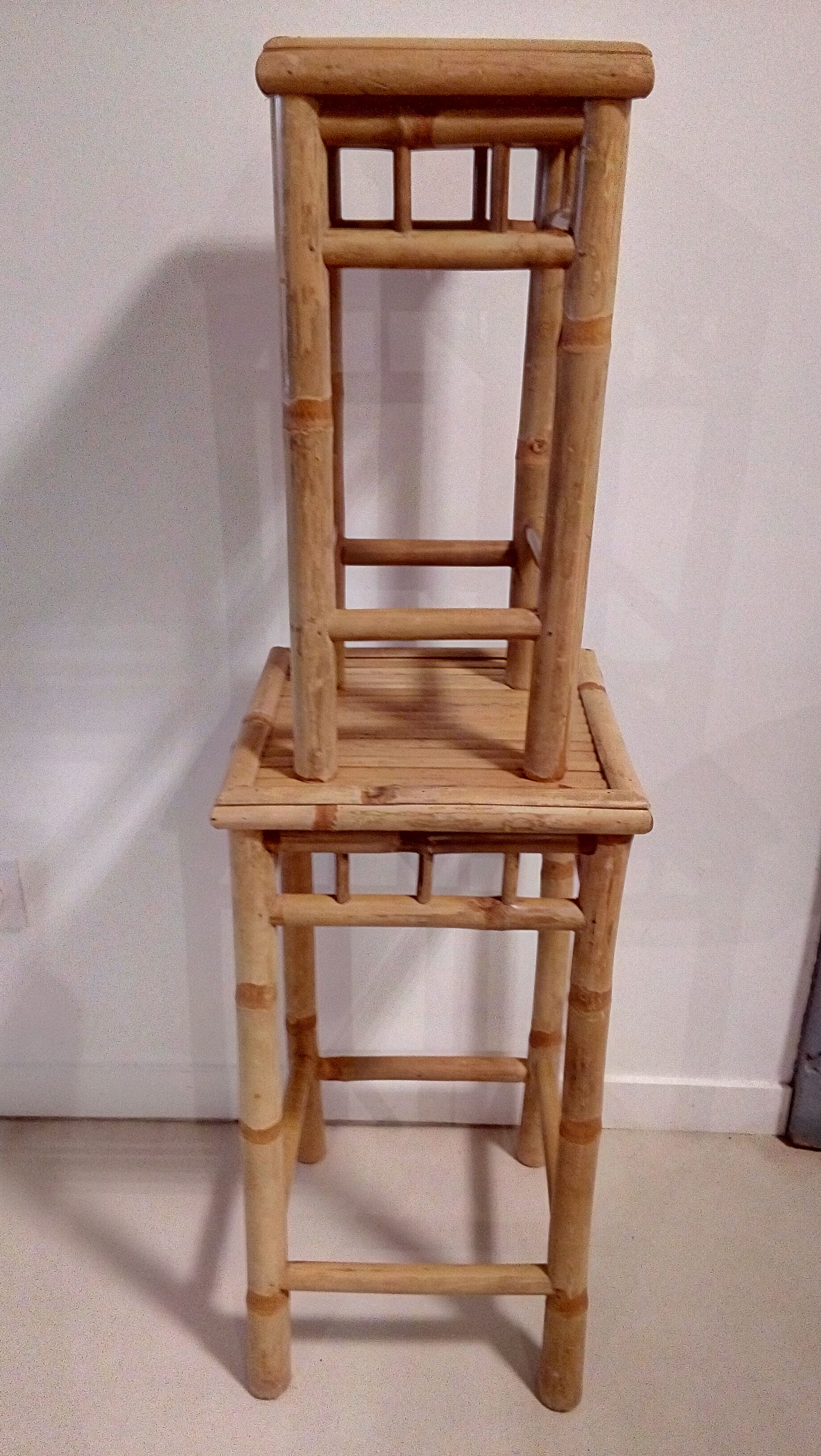 Bamboo selette plant-carrier duo
