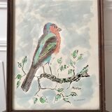 Watercolor bird Pinson signed vintage
