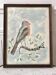 Watercolor bird Pinson signed vintage
