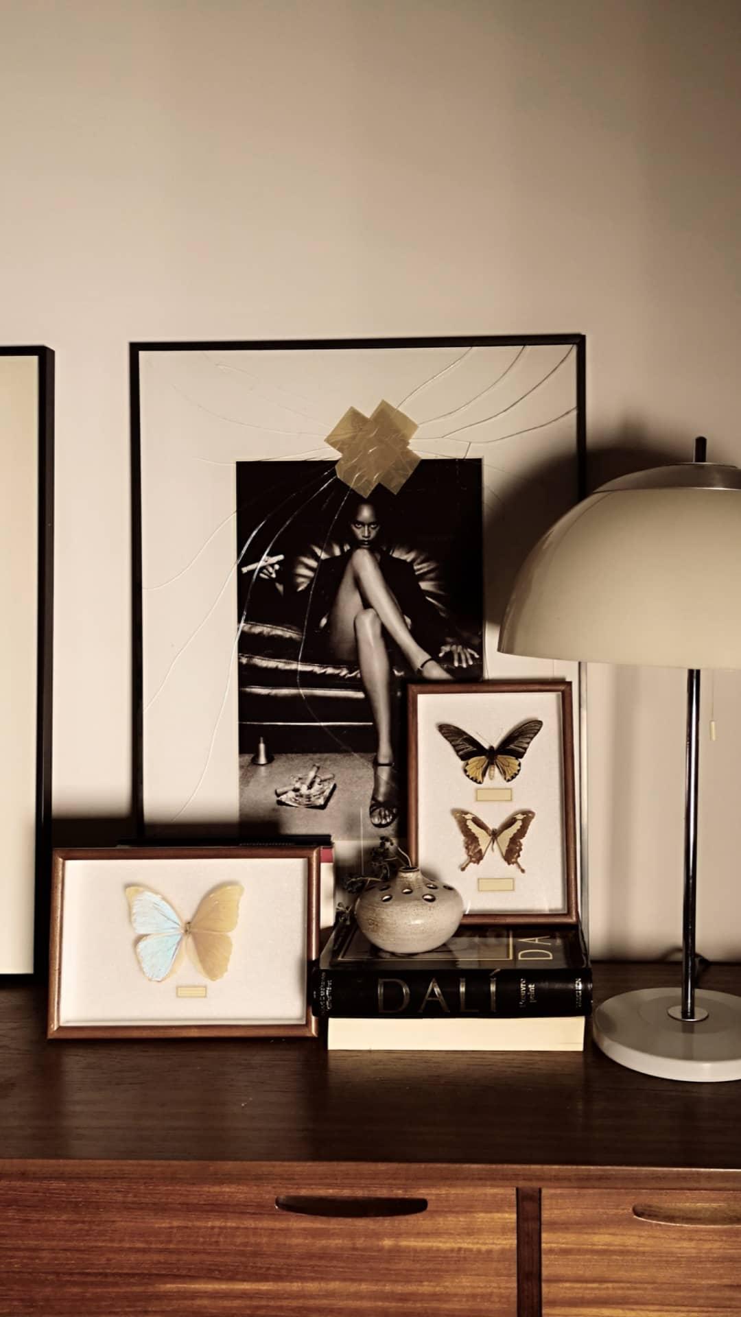 Cadre vintage papillon