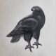 Print after Georges Guyot, "Aigle Royal", 1937, framed, 41 x 32 cm