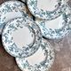 6 assiettes plates Longwy en terre de fer bleue, service "Chartres"