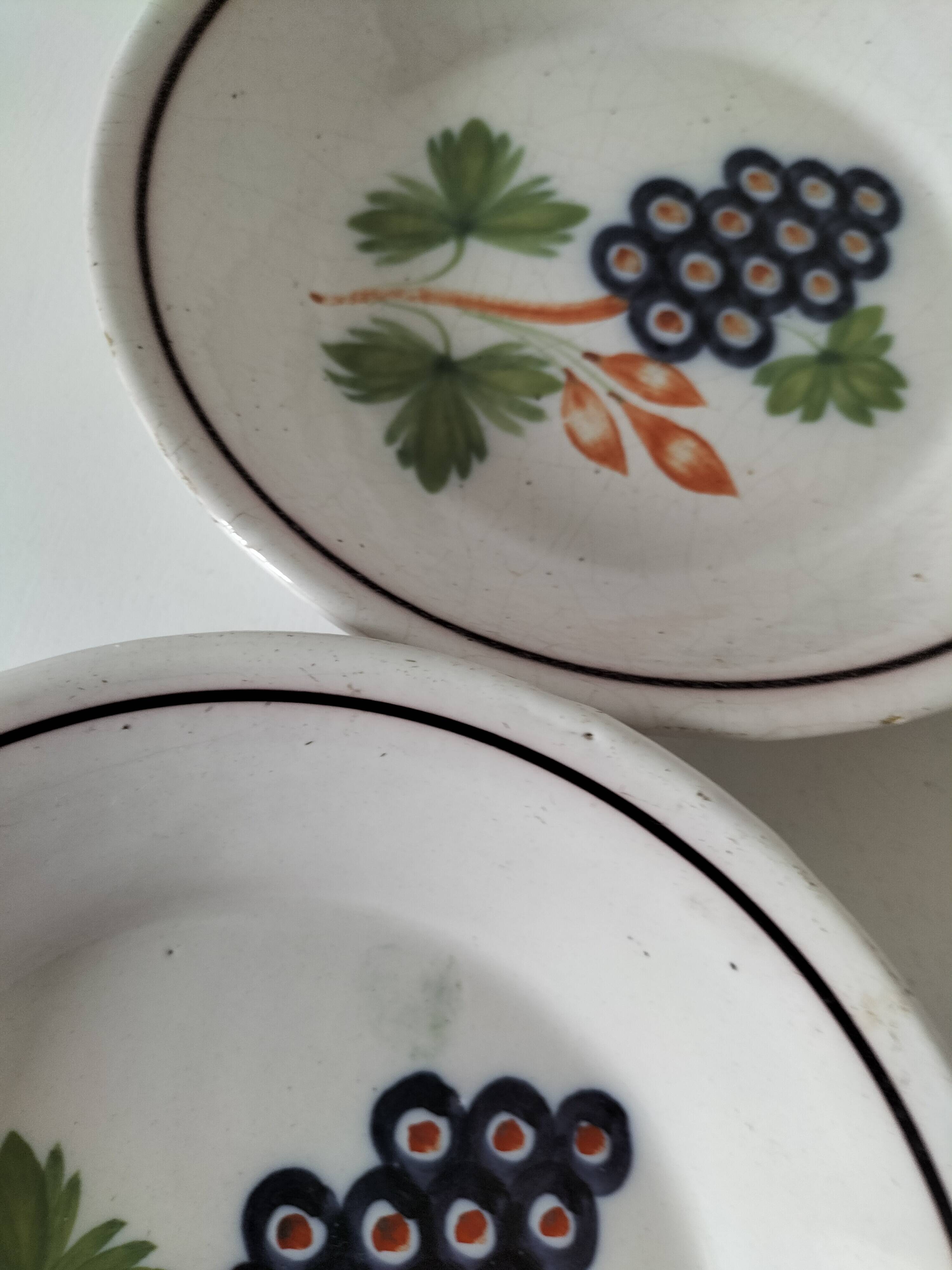 Pair of antique soup plates with hand-painted grape decoration