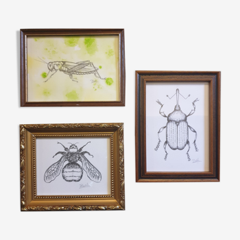 Set of 3 insect sketches