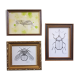 Set of 3 insect sketches