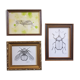 Set of 3 insect sketches