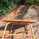 Table basse rotin 1960 signée
