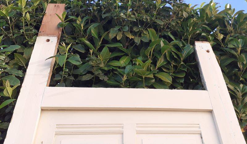 81.2x212 door and old molded paneled communication frame