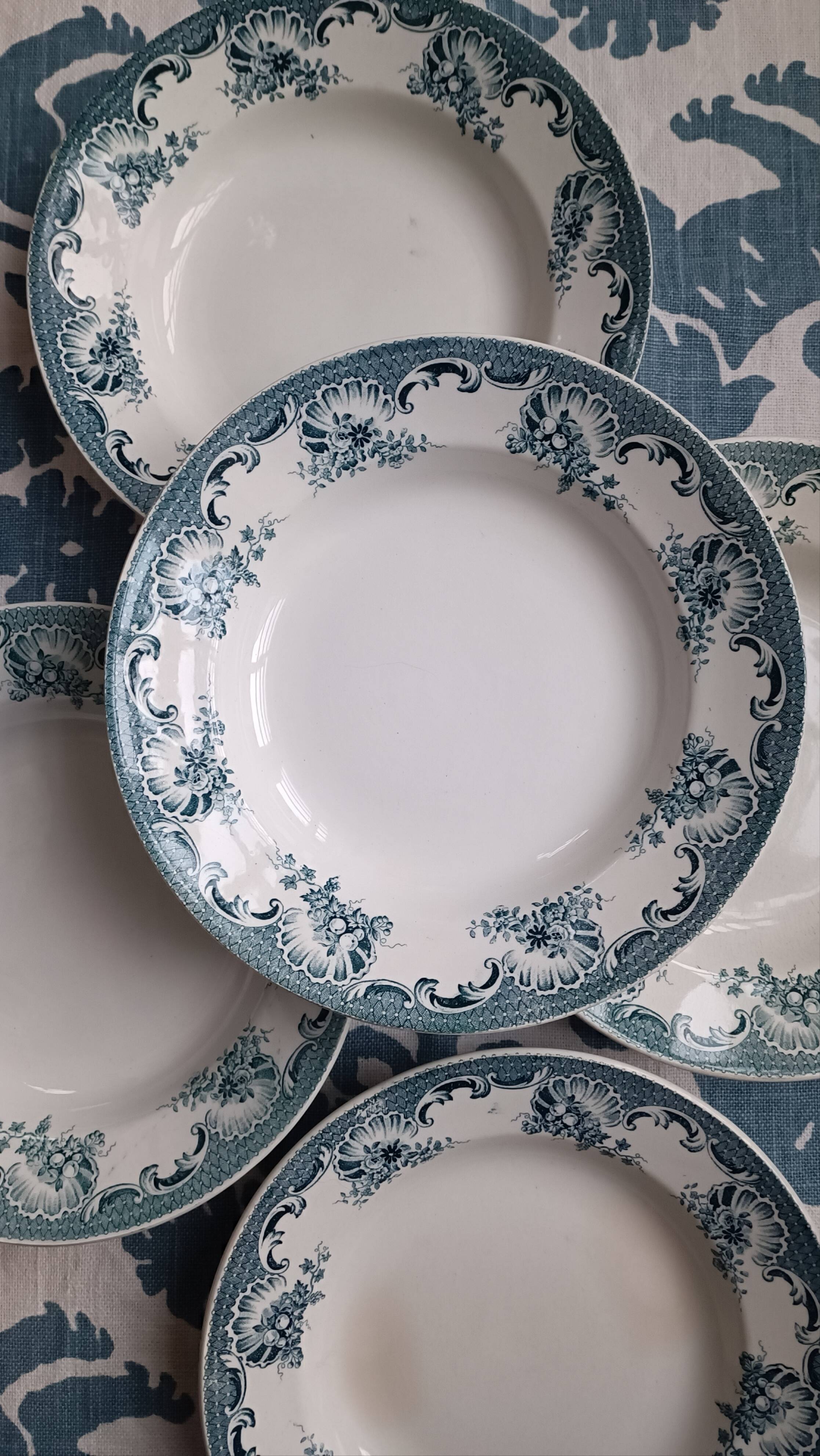 5 deep plates from Saint Amand ironstone