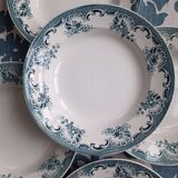 5 deep plates from Saint Amand ironstone