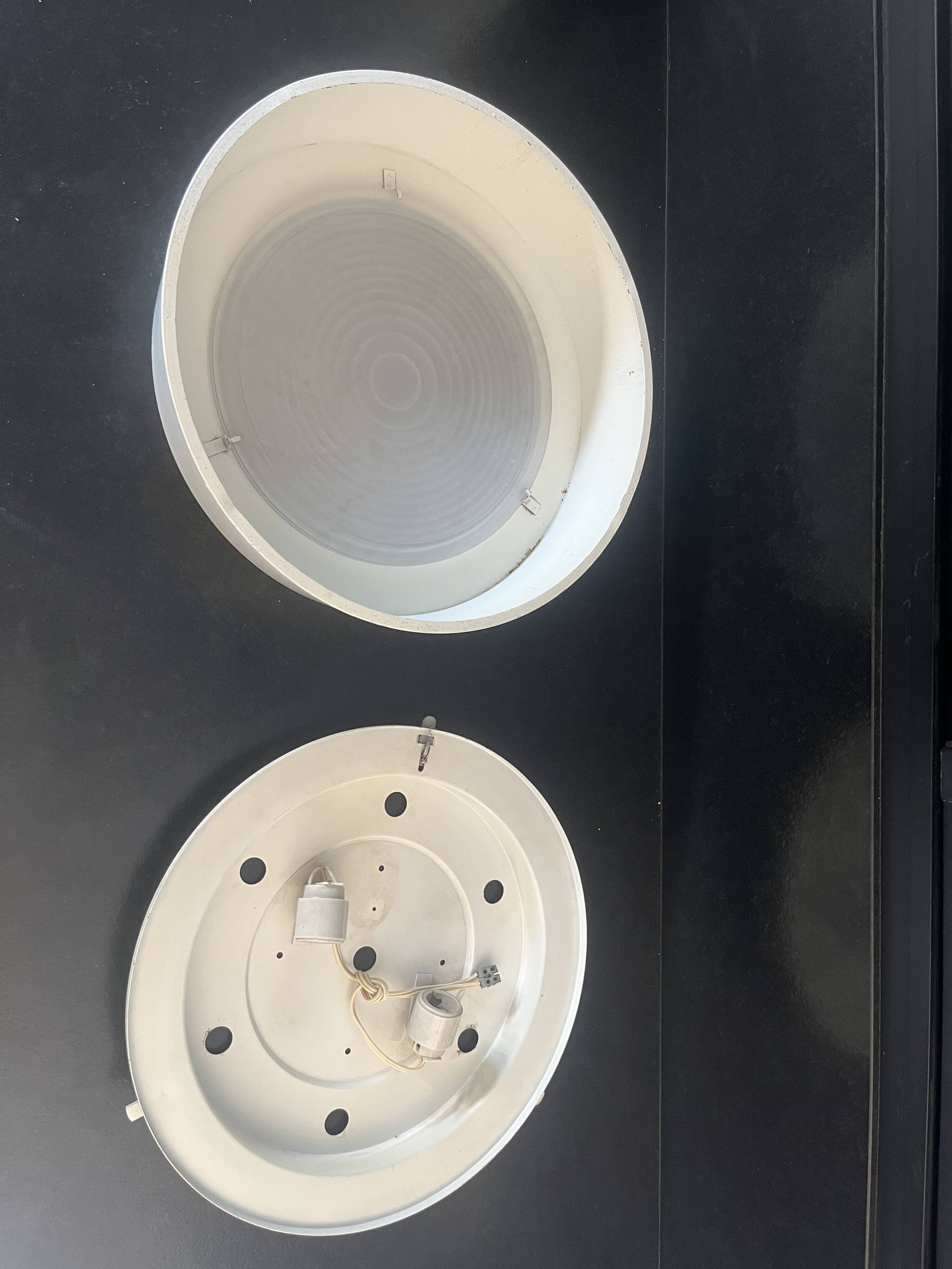 Lacquered metal Holophane ceiling light
