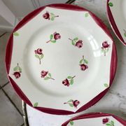Set of 5 flat plates digoin sarreguemines model aigues-vives hand painted years 30-40