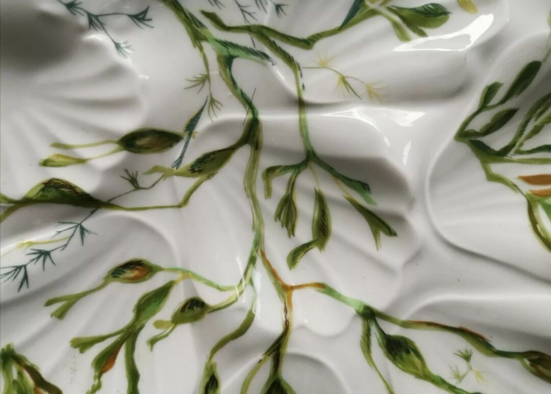 Limoges porcelain oyster service