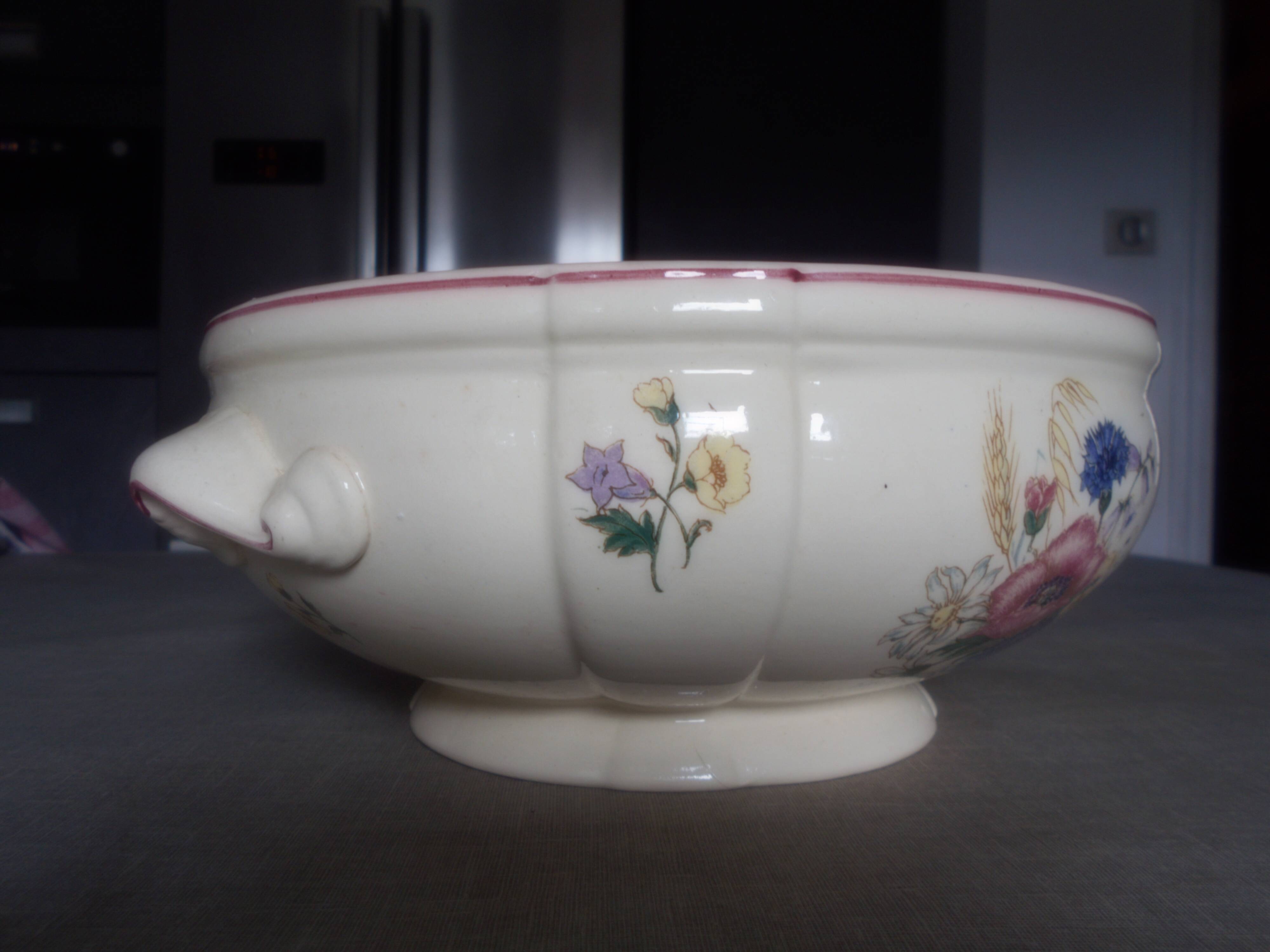 Flowered salad bowl digoin sarguemines