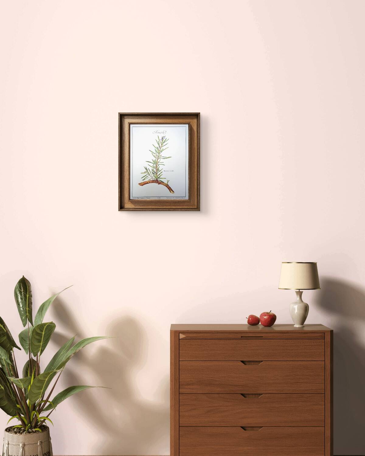 Printed in 1986, Le Romarin.