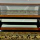 Ronce de Walnut coffee table, 1960s