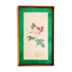 Illustration botanique de Rosa Centifolia