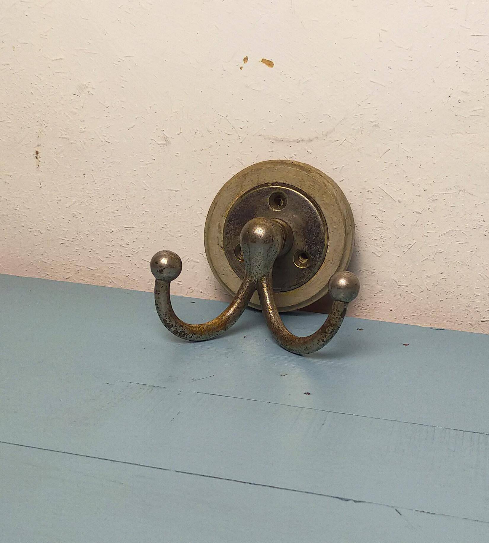 Double hook coat rack