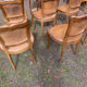 Lot de 6 chaises Louis Philippe cannées époque 19ème