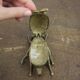 Brass beetle