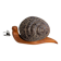 Lumaca snail lamp Marzio Cecchi 1969