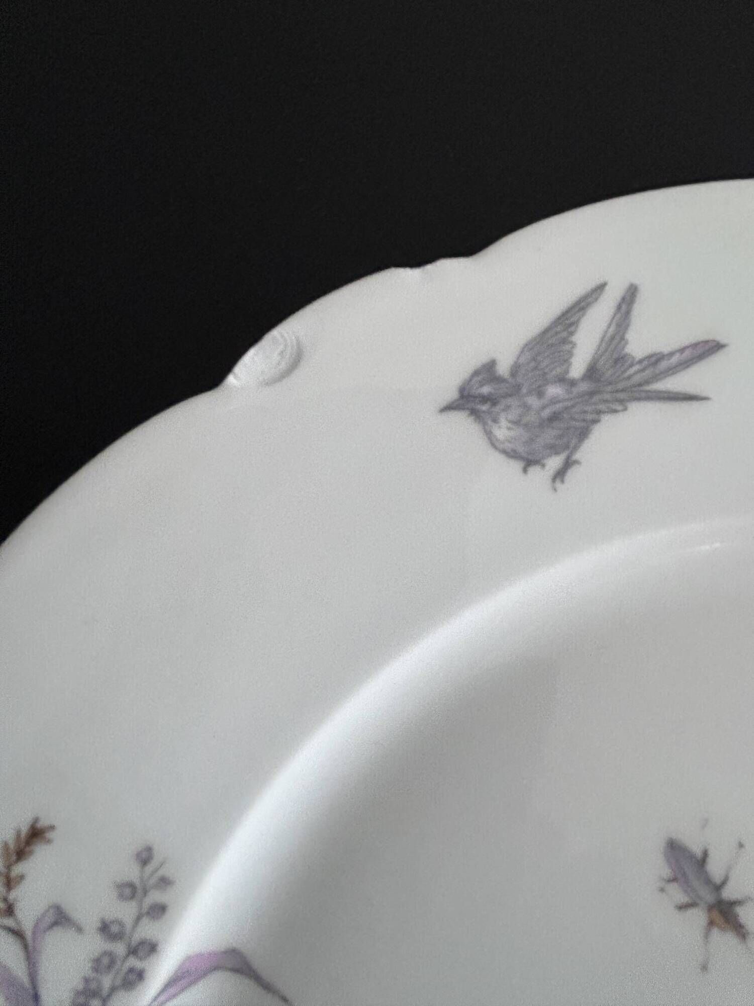 8 porcelain plates and 1 dish CH Pillivuyt & Cie