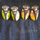 Lot 4 Salt and Pepper Shakers Cigales Ceramic - Provençal Style