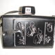 EE66 of the USA from 1976 polaroid camera