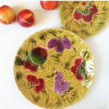 Duo flat plate Slurry pattern fruits