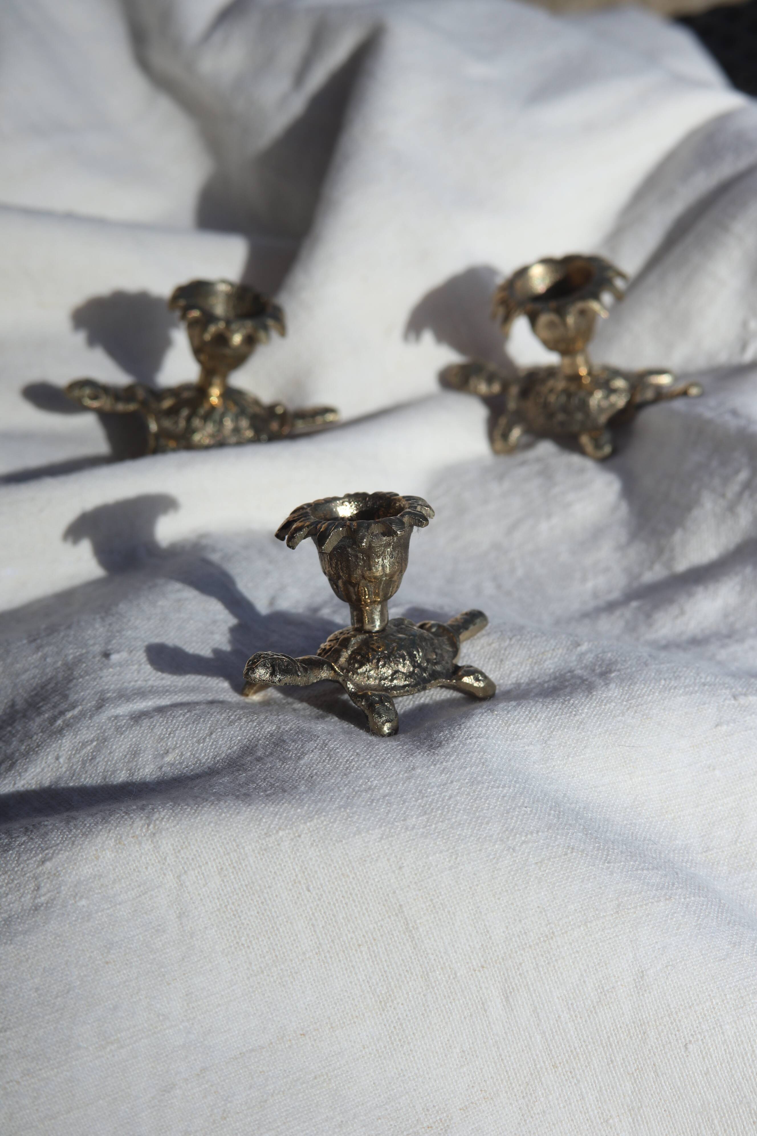 Set of candle holders palm-tortoise style