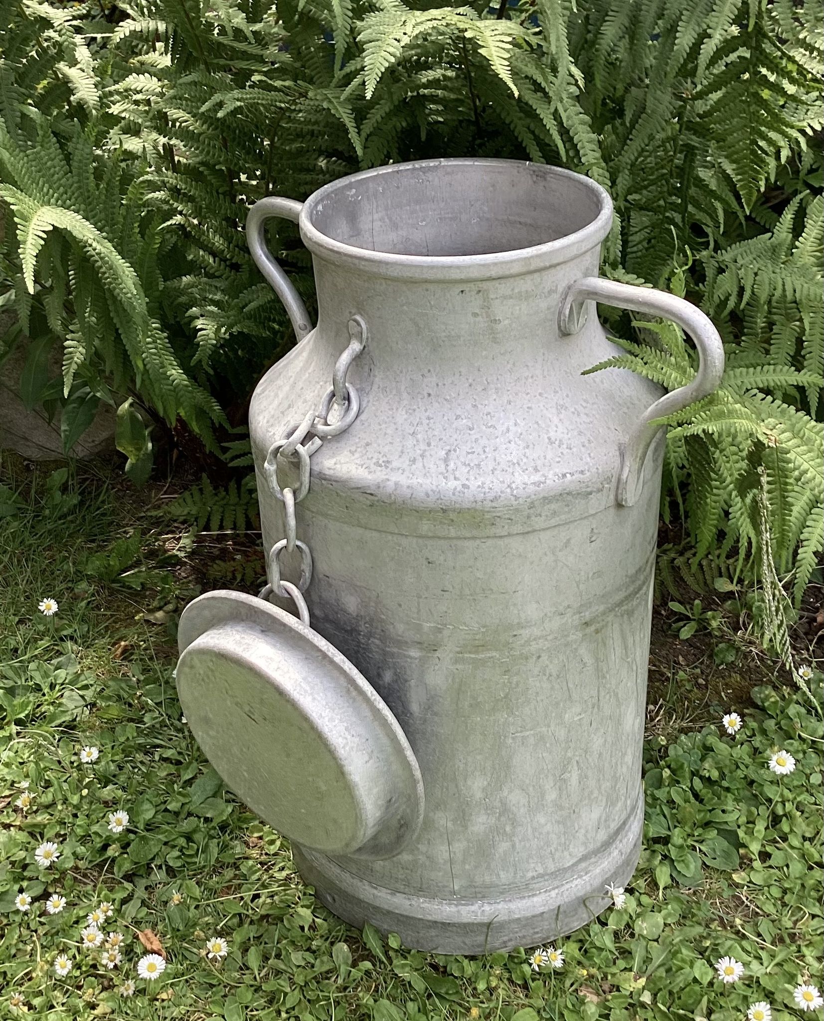 Farm milk can in aluminum stamped dimension: height -49cm- width -36cm-