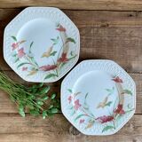 6 large Pontesa Spain plates