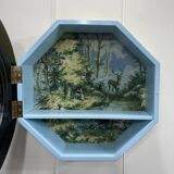 Wall display case