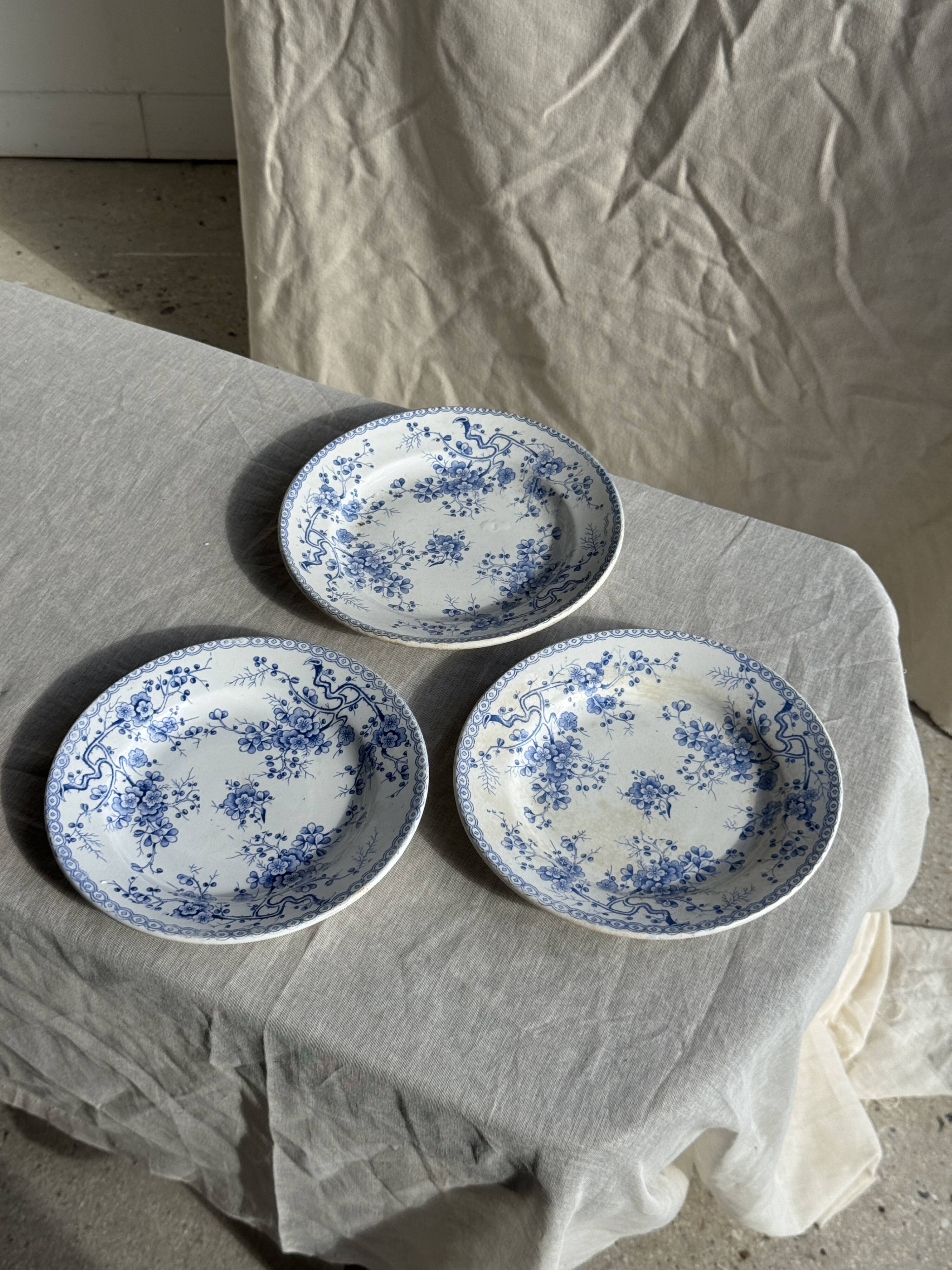 Set of 3 blue plates from Gien pottery, Fleurette model, D22.5.