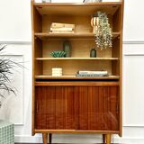 Scandinavian style vintage bookcase