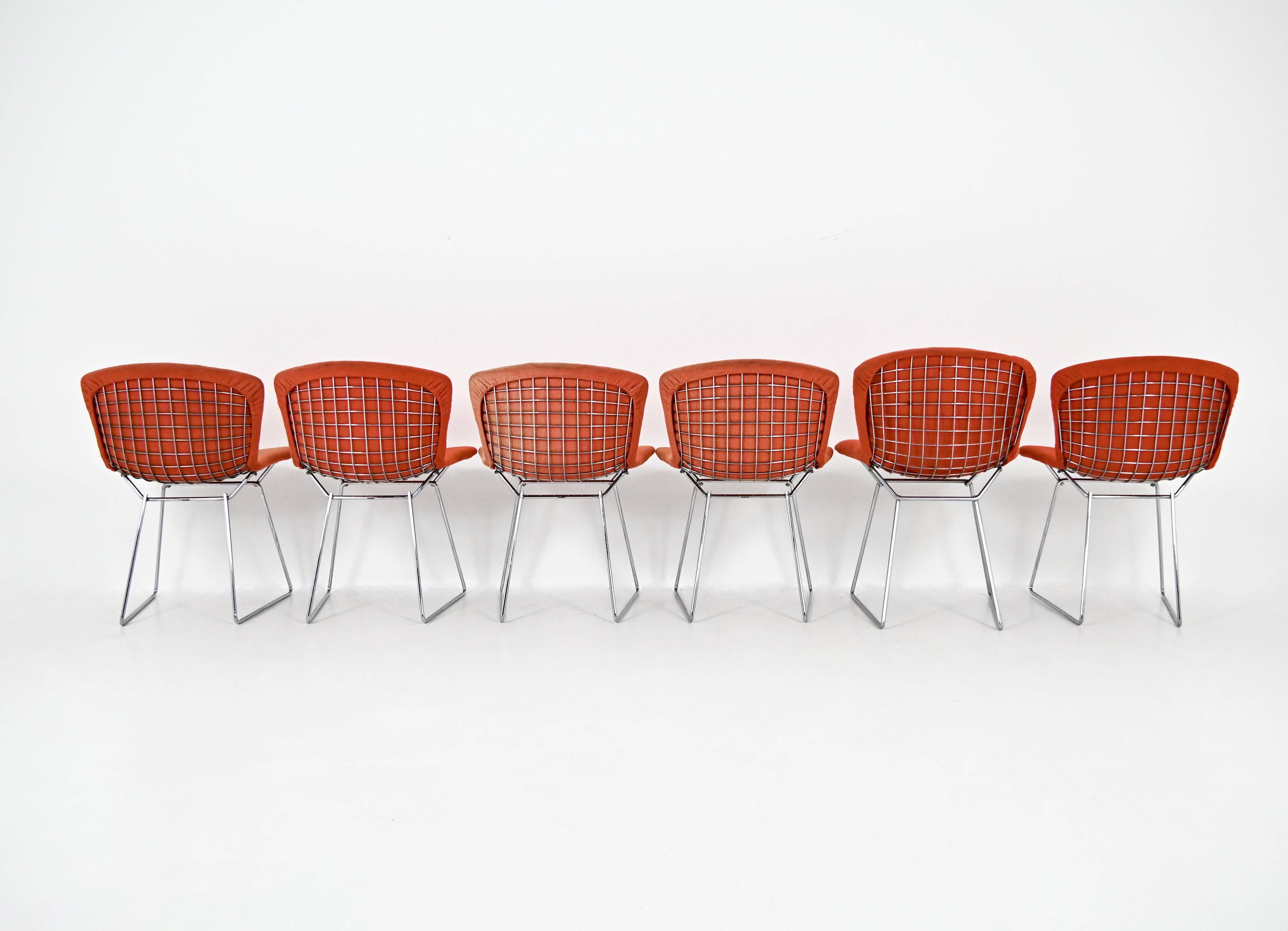 Set of 6 chairs by Harry Bertoia for Knoll, 1960s