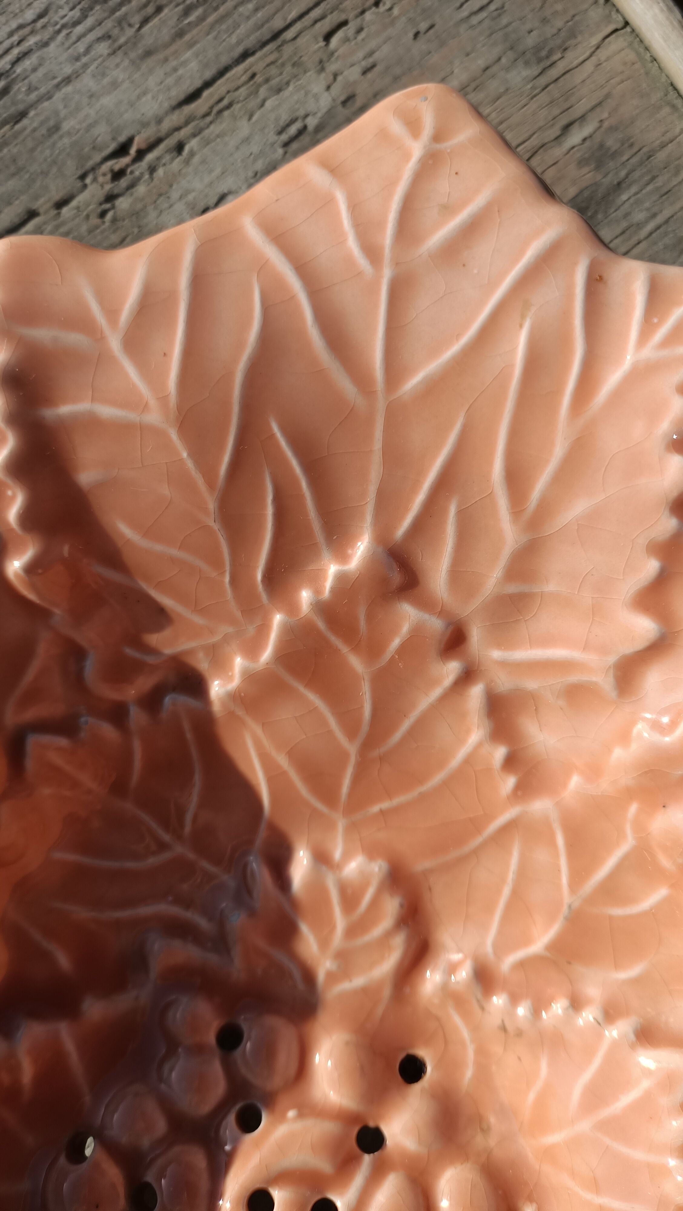 Drainer and slurry dish