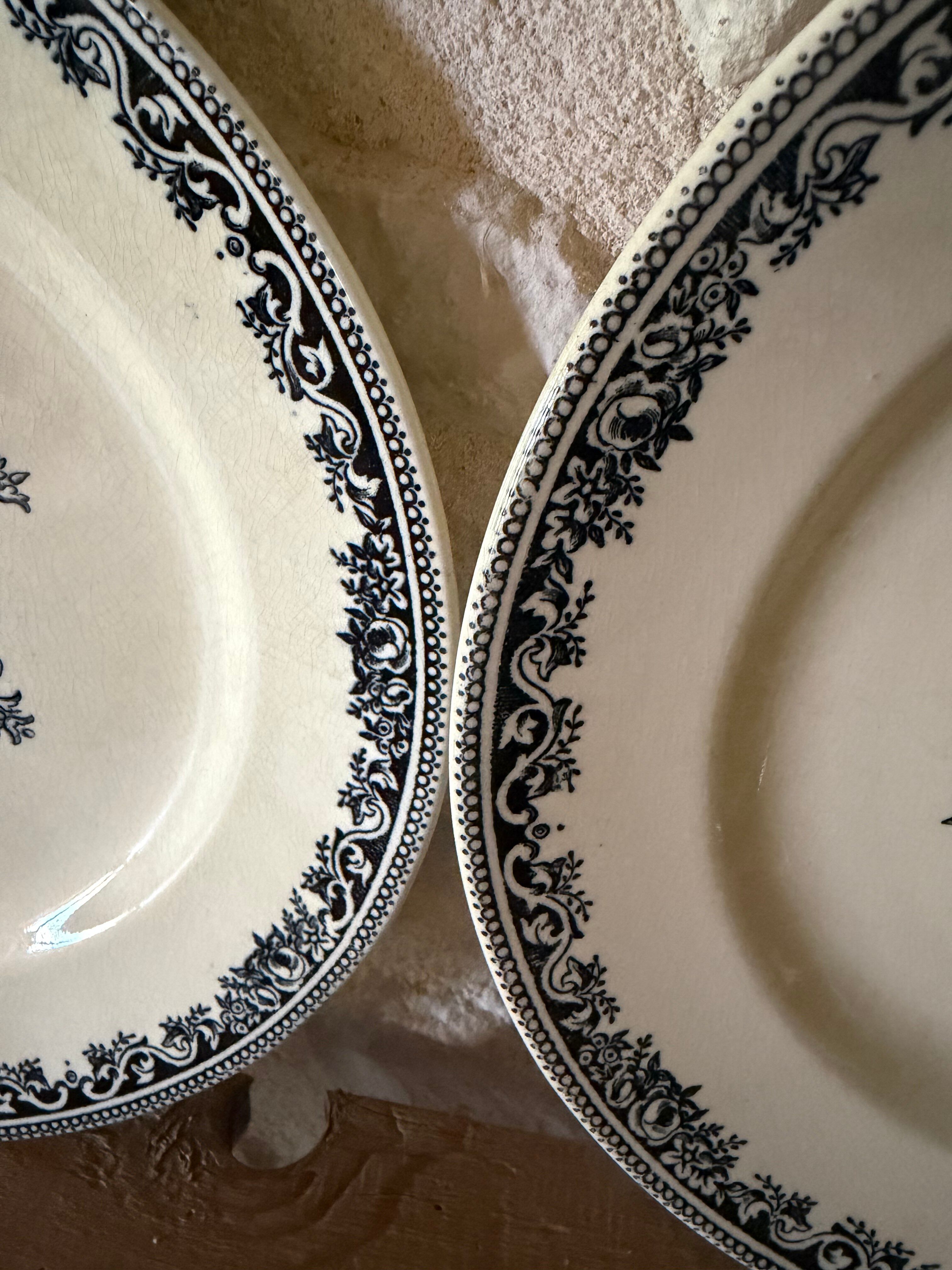 Flat plates Jules Vieillard Bordeaux in ironstone