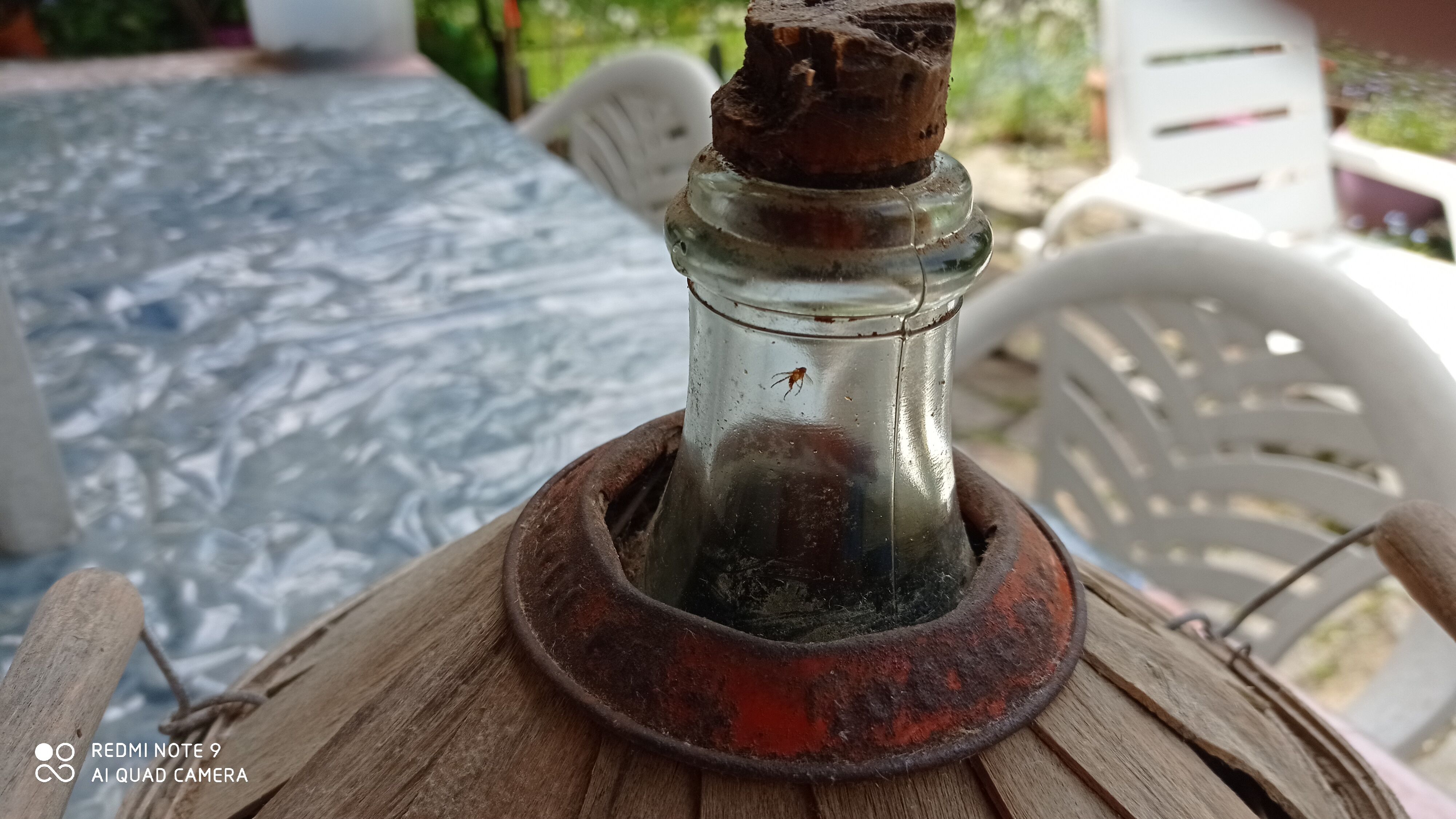 Lady Jeanne canister