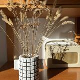 Vase aloïs