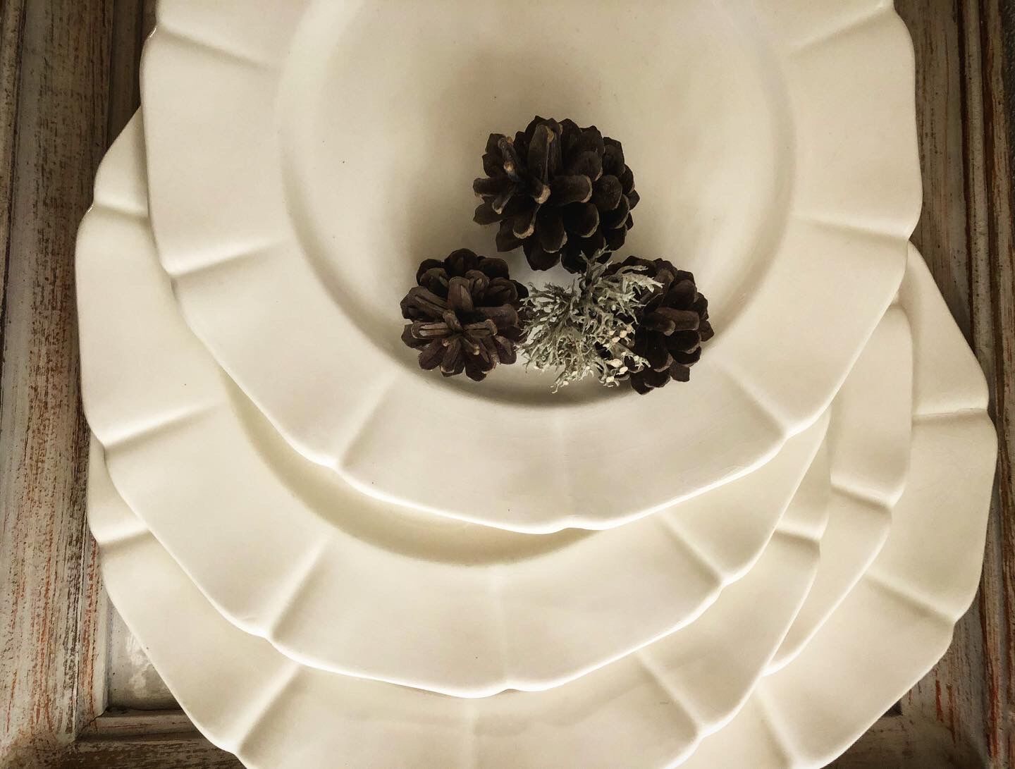 flat plates ivory Boch brothers