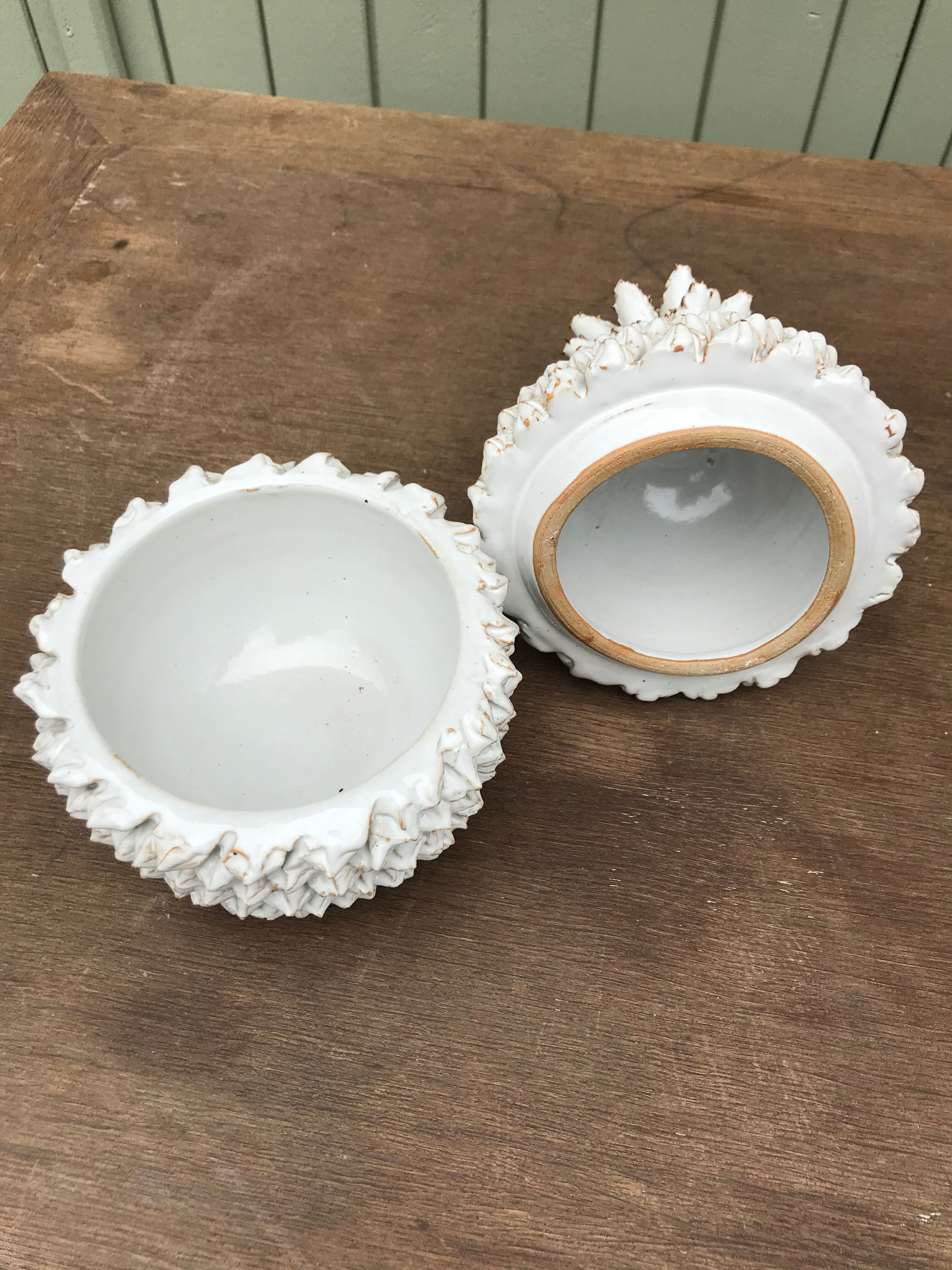 Empty pocket pineapple