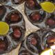 Set of 4 ceramic oyster plates from Vallauris serving dishes.