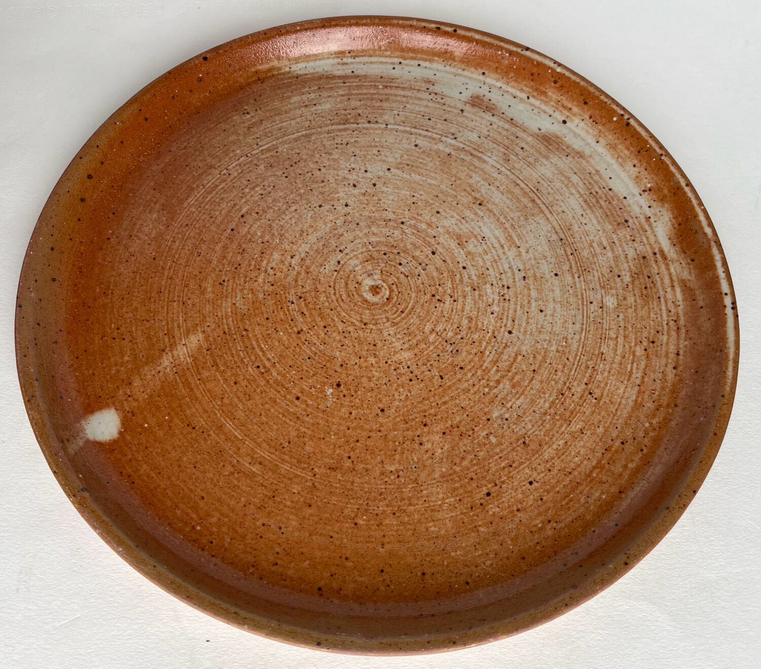 2 stoneware dinner plates