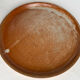 2 stoneware dinner plates