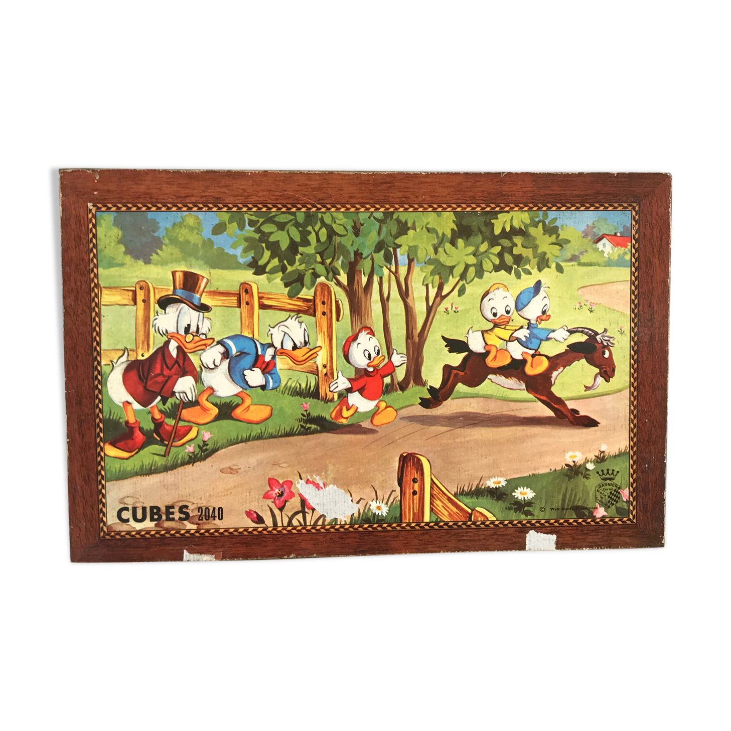 Garnier puzzle cubes