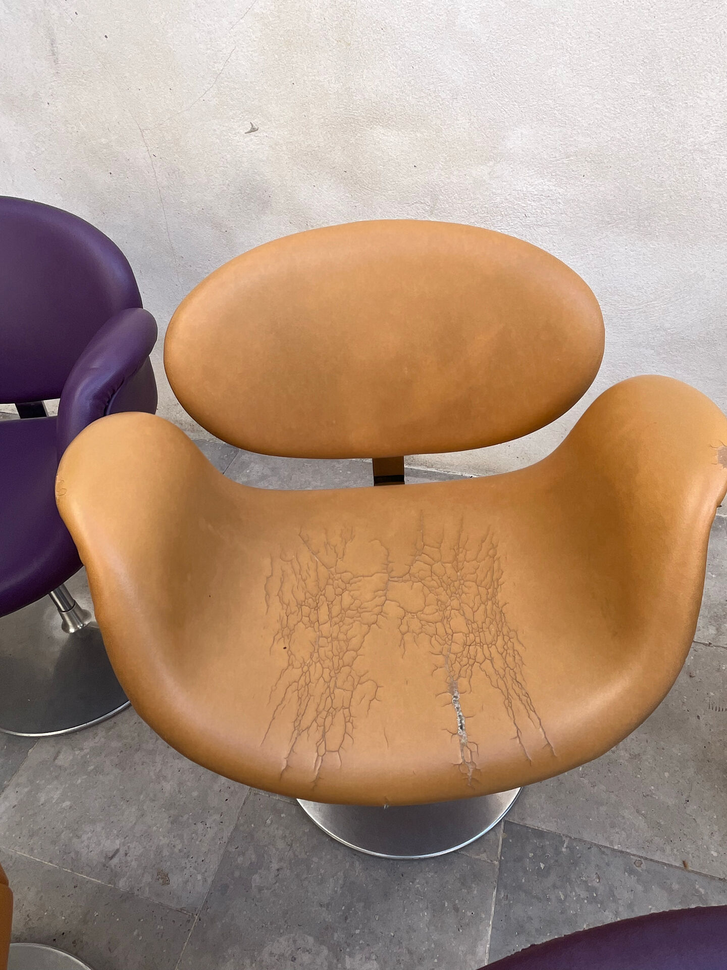 7 Tulip Chairs Paulin